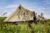 Cast Away Bell tent (all-in prijs)